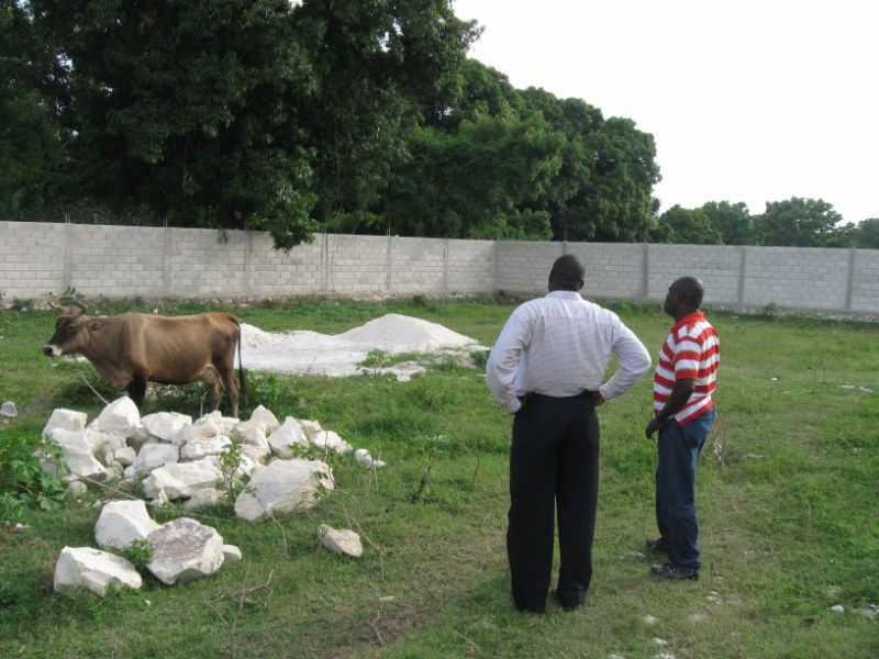 Harry and JoJo checking out the watch cow on Harry’s property